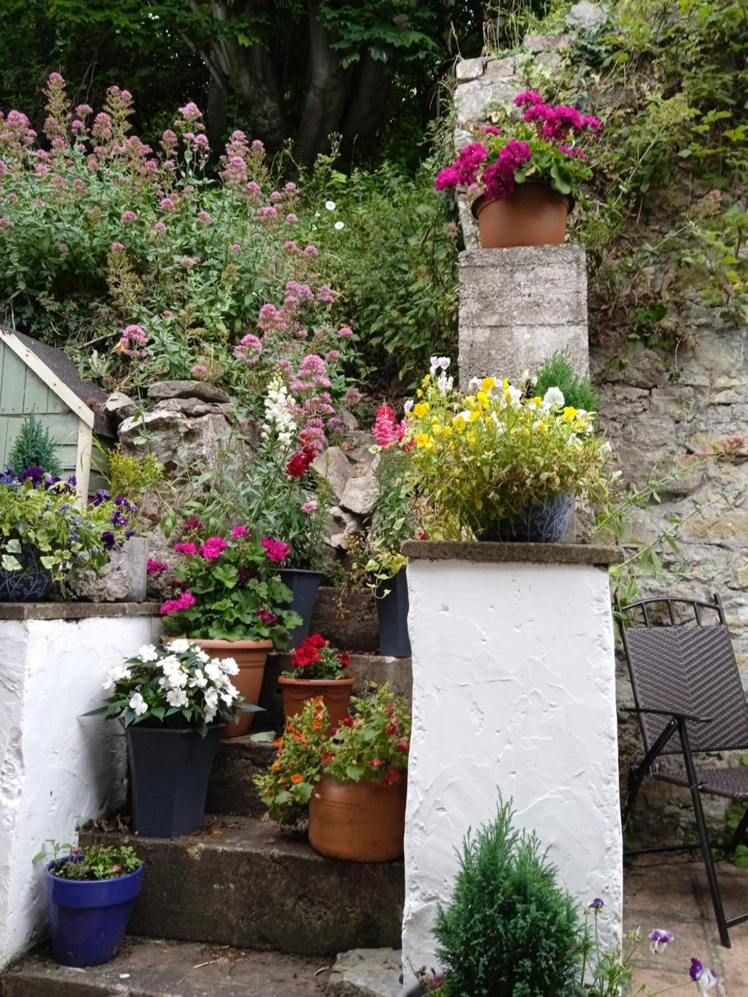 Copper Mine Cottage Llandudno Dış mekan fotoğraf